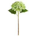 Green Hydrangea Stem — Real Touch