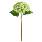 Green Hydrangea Stem — Real Touch