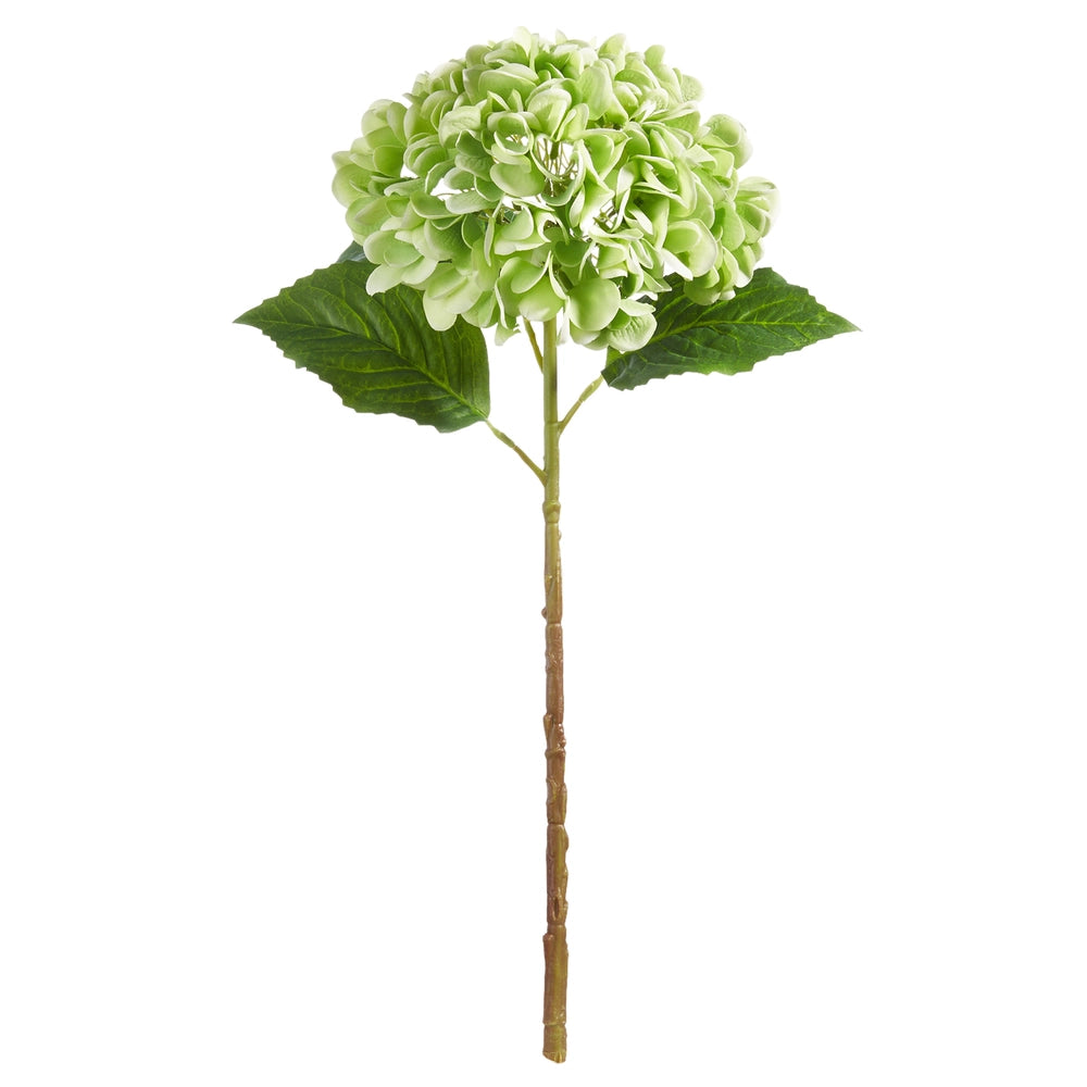 Green Hydrangea Stem — Real Touch