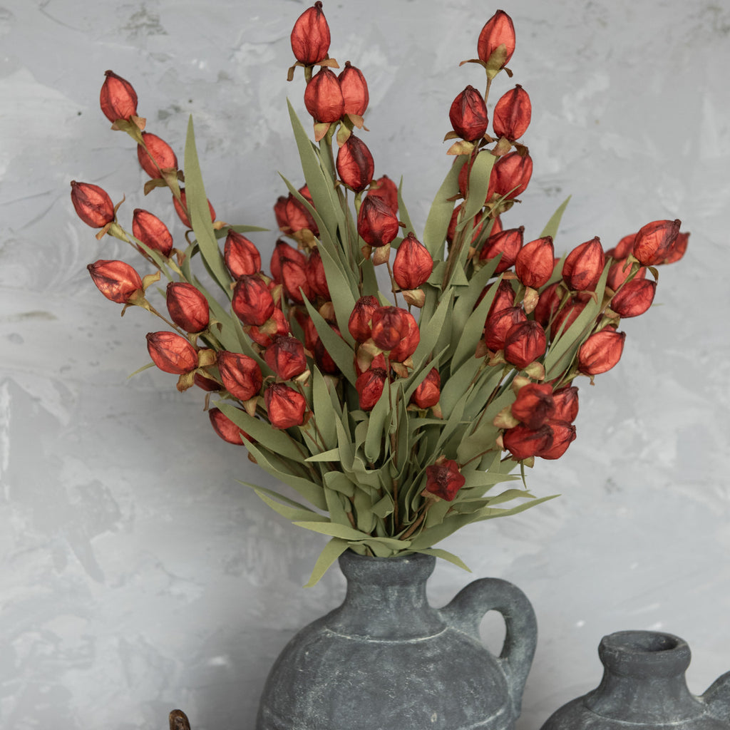 Burgundy Chinese Lantern Bush