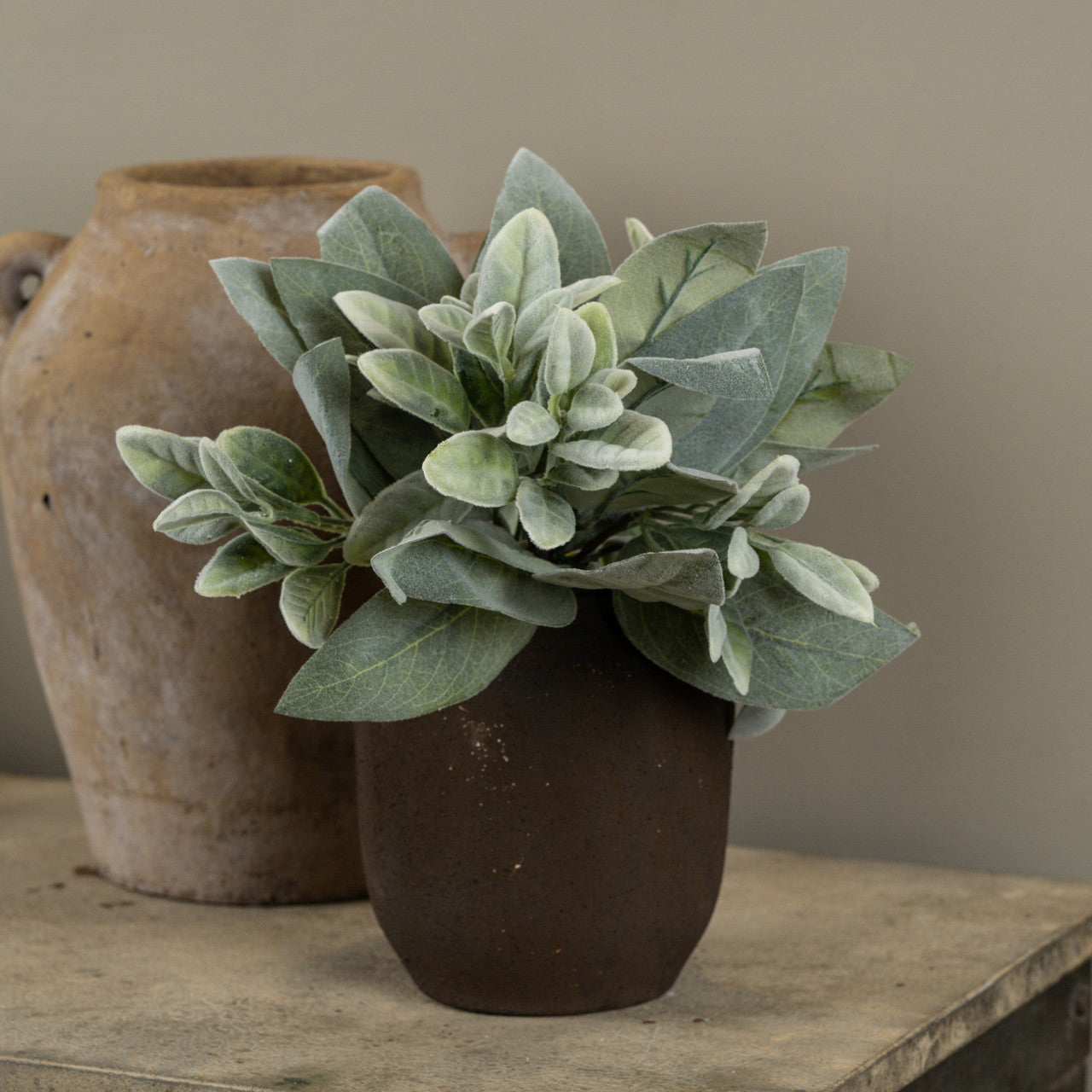 Lambs Ear Bundle